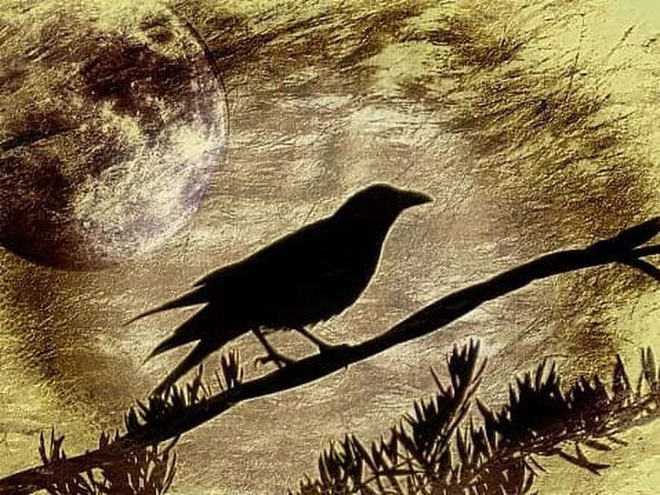 Quote hotsell the Raven Cloak Edgar Allen Poe Crow